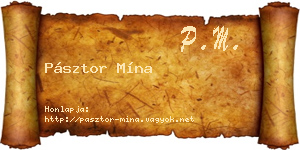 Pásztor Mína névjegykártya